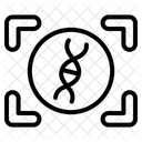 Genome Mapping Dna Replication Genetic Variation Icon