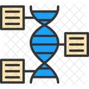 Genomica Funcional DNA Funcional Ícone