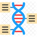 Genomica Funcional DNA Funcional Ícone