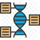 Genomica Funcional DNA Funcional Ícone