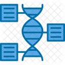 Genomica Funcional DNA Funcional Ícone