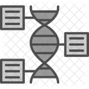 Genomica Funcional DNA Funcional Ícone