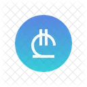 Georgian lari  Icon