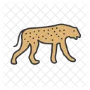 Gepard  Symbol