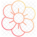 Blume Blute Natur Symbol