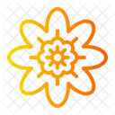 Geranie Natur Blume Symbol