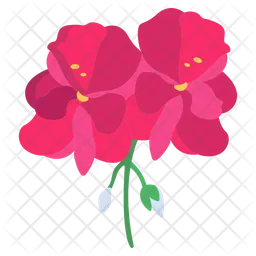 Geranien  Symbol
