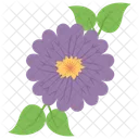Geranium Flower Spa Essentials Icon