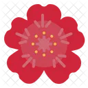 Geranium Flower  Icon