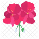 Geraniun Flower Blossom Icon