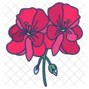 제라니운 꽃 꽃 아이콘