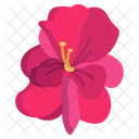 Geraniun Flower Flowers Icon
