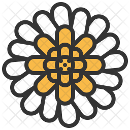 Gerbera Icon