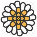 Gerbera Blume Symbol