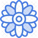 Gerbera Flower Flower Bud Icon