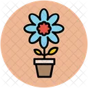 Gerbera Ganseblumchen Pflanze Symbol