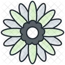 Gerbera Natureza Folha Ícone