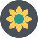 Gerbera Ganseblumchen Blume Symbol