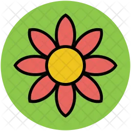 Gerbera  Icon