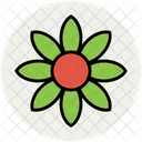 Gerbera Ganseblumchen Blume Symbol
