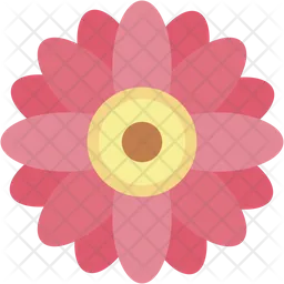 Gerbera  Icon