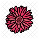 Gerbera Daisy Blossom Icon