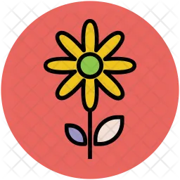 Gerbera  Icon