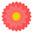 Gerbera-Blume  Symbol