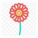 Gerbera-Blume  Symbol