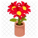 Gerbera-Blumen  Symbol