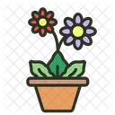 Gerbera Daisy Flower Gerbera Icon