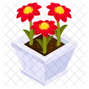 Gerbera Daisy  Icon