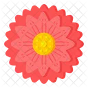 Gerbera Flower  Symbol
