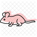 Gerbilo Animal De Estimacao Mamifero Ícone