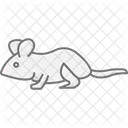 Gerbilo Animal De Estimacao Mamifero Ícone