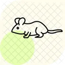 Gerbilo Animal De Estimacao Mamifero Ícone