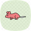 Gerbilo Animal De Estimacao Mamifero Ícone