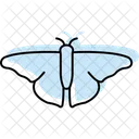 Luna Insecto Polilla Icono