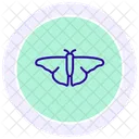 Luna Insecto Polilla Icono