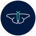 Luna Insecto Polilla Icono