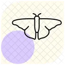 Luna Insecto Polilla Icono