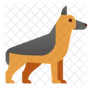German Shepherd  Icon