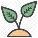 Plante Eco Ecologie Icône