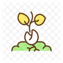 Plant Germination Seed Icon