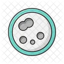 Germs Bacteria Lab Icon