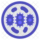 Germs Bacteria Bacterium Icon