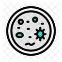 Germs  Icon