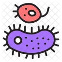 Bacteria Virus Infection Icon