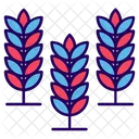 Gerste  Symbol