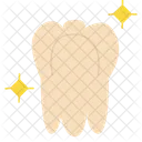 Gesunder Zahn  Symbol